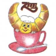 logo_zingg